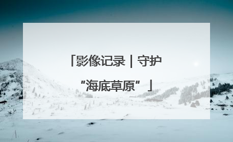 影像记录｜守护“海底草原”