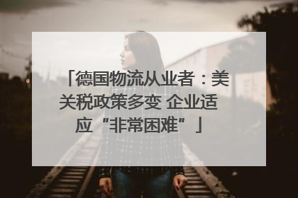 德国物流从业者：美关税政策多变 企业适应“非常困难”