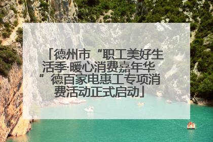 德州市“职工美好生活季·暖心消费嘉年华”德百家电惠工专项消费活动正式启动