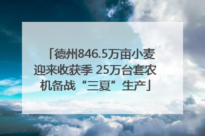 德州846.5万亩小麦迎来收获季 25万台套农机备战“三夏”生产