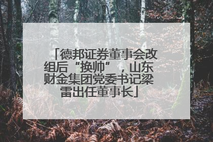 德邦证券董事会改组后“换帅”，山东财金集团党委书记梁雷出任董事长