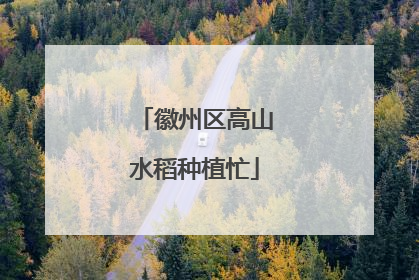 徽州区高山水稻种植忙