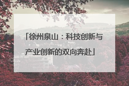 徐州泉山：科技创新与产业创新的双向奔赴