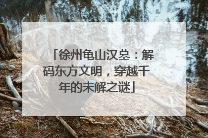 徐州龟山汉墓：解码东方文明，穿越千年的未解之谜