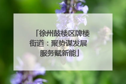 徐州鼓楼区牌楼街道：聚势谋发展 服务赋新能