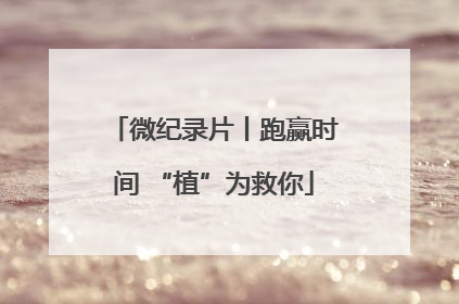 微纪录片丨跑赢时间 “植”为救你