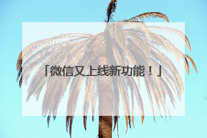微信又上线新功能！