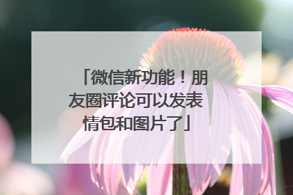 微信新功能！朋友圈评论可以发表情包和图片了