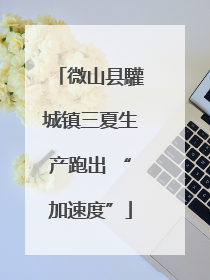 微山县驩城镇三夏生产跑出 “加速度”