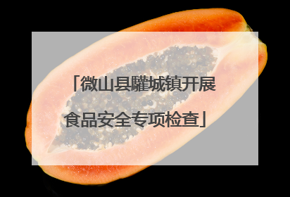 微山县驩城镇开展食品安全专项检查
