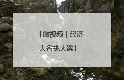 微视频｜经济大省挑大梁