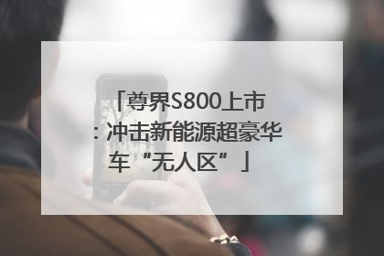 尊界S800上市：冲击新能源超豪华车“无人区”