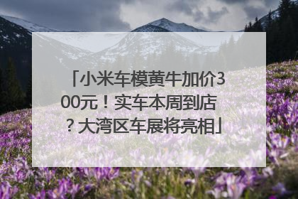 小米车模黄牛加价300元！实车本周到店？大湾区车展将亮相
