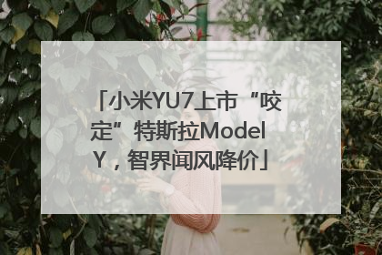 小米YU7上市“咬定”特斯拉Model Y，智界闻风降价