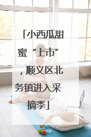 小西瓜甜蜜“上市”，顺义区北务镇进入采摘季