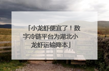 小龙虾便宜了！数字冷链平台为湖北小龙虾运输降本