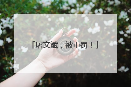 屠文斌，被重罚！