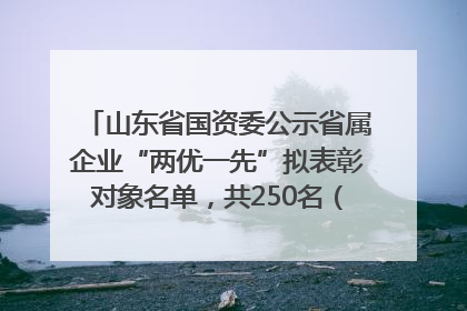山东省国资委公示省属企业“两优一先”拟表彰对象名单，共250名（个）党员和党组织