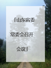 山东省委常委会召开会议