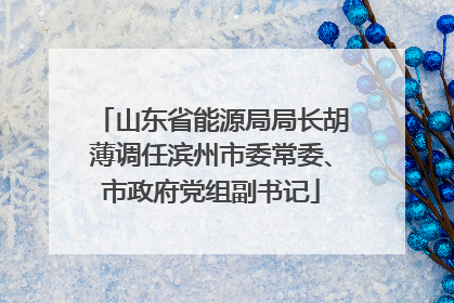 山东省能源局局长胡薄调任滨州市委常委、市政府党组副书记