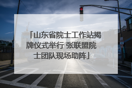 山东省院士工作站揭牌仪式举行 张联盟院士团队现场助阵