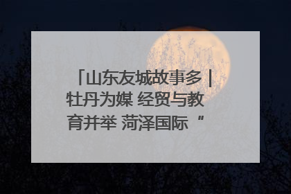山东友城故事多｜牡丹为媒 经贸与教育并举 菏泽国际“朋友圈”扩容升级