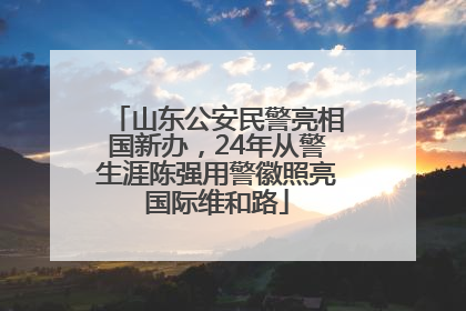 山东公安民警亮相国新办，24年从警生涯陈强用警徽照亮国际维和路