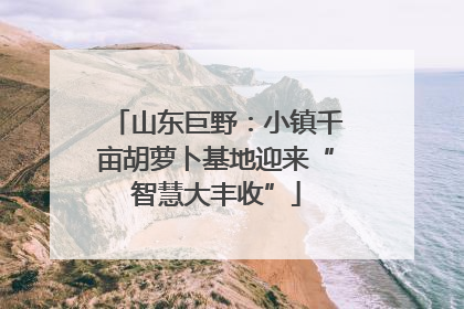 山东巨野：小镇千亩胡萝卜基地迎来“智慧大丰收”
