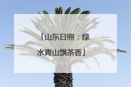 山东日照：绿水青山飘茶香