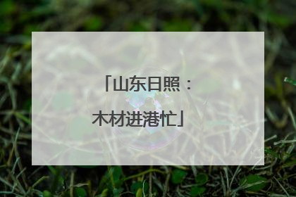 山东日照：木材进港忙