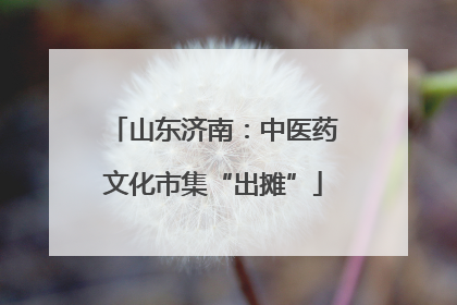 山东济南：中医药文化市集“出摊”