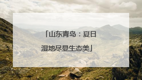 山东青岛：夏日湿地尽显生态美