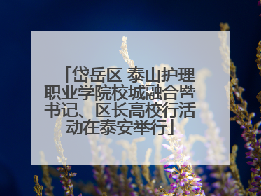 岱岳区 泰山护理职业学院校城融合暨书记、区长高校行活动在泰安举行