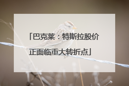 巴克莱：特斯拉股价正面临重大转折点