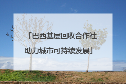 巴西基层回收合作社助力城市可持续发展