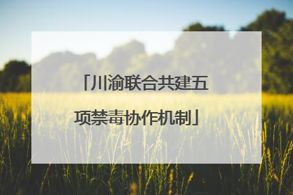 川渝联合共建五项禁毒协作机制