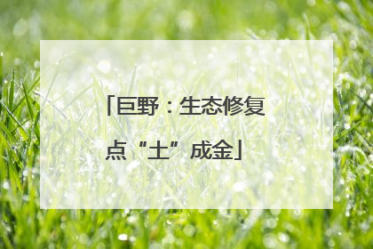 巨野：生态修复点“土”成金