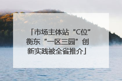 市场主体站“C位” 衡东“一区三园”创新实践被全省推介