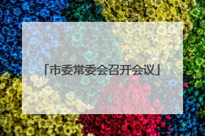 市委常委会召开会议