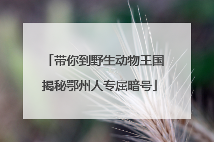 带你到野生动物王国揭秘鄂州人专属暗号