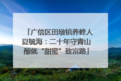 广信区田墩镇养蜂人夏毓海：二十年守青山酿就“甜蜜”致富路