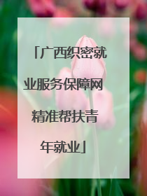 广西织密就业服务保障网 精准帮扶青年就业
