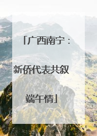 广西南宁：新侨代表共叙端午情
