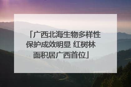 广西北海生物多样性保护成效明显 红树林面积居广西首位