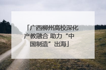 广西柳州高校深化产教融合 助力“中国制造”出海