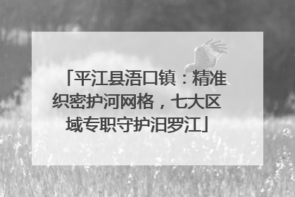 平江县浯口镇：精准织密护河网格，七大区域专职守护汨罗江