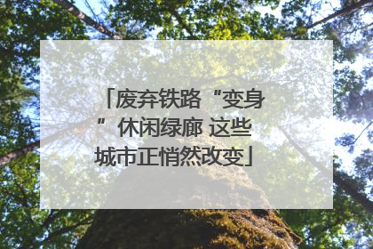 废弃铁路“变身”休闲绿廊 这些城市正悄然改变