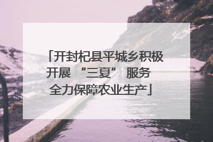 开封杞县平城乡积极开展 “三夏” 服务 全力保障农业生产