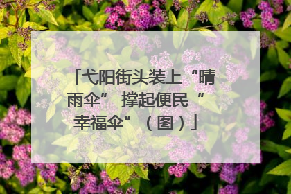 弋阳街头装上“晴雨伞” 撑起便民“幸福伞”（图）