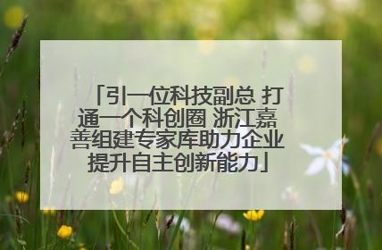 引一位科技副总 打通一个科创圈 浙江嘉善组建专家库助力企业提升自主创新能力